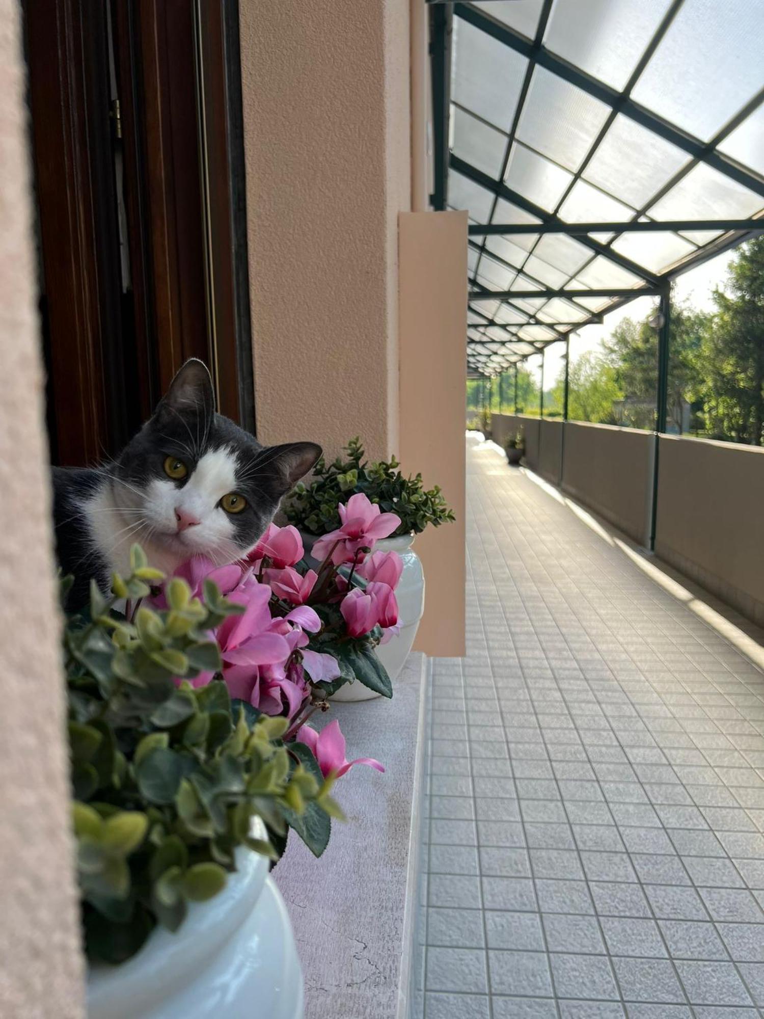 Appartamento Sangiuliano Mestre Buitenkant foto